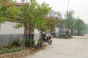 官家莊村 官家莊村