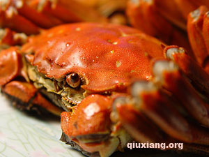 水煮螃蟹－煮熟的螃蟹圖片
