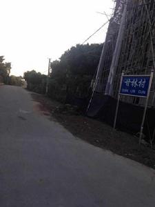 湛江甘霖村 湛江甘霖村