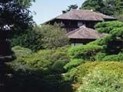 水戶德川家 水戶德川家