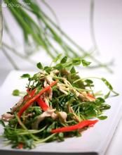 雞絲炒豌豆苗 雞絲炒豌豆苗