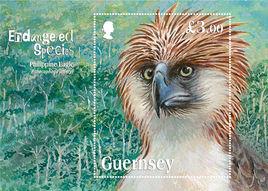 瀕危物種系列:菲律賓鷹 瀕危物種系列:菲律賓鷹