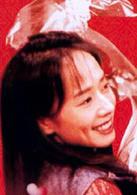 大富之家[1994年張國榮主演電影]