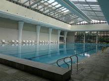 泳池[進行游泳運動的場地]