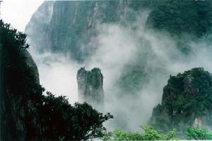   莽山國家森林公園 