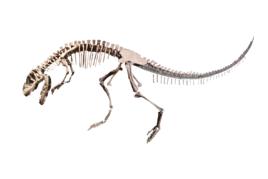 晚侏羅世甘氏四川龍 晚侏羅世甘氏四川龍