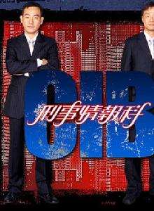 刑事情報科[2006年林保怡主演電視劇]