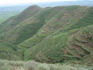 鄧恆珠自然村 鄧恆珠自然村