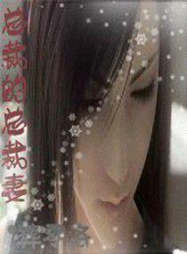 總裁的總裁妻 總裁的總裁妻