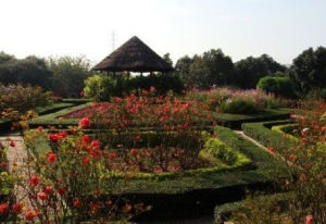 祈福農莊 祈福農莊