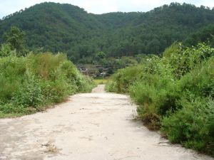 新海自然村 新海自然村