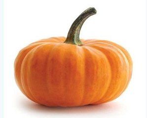 金喬一號 金喬一號