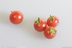 番茄斑點萎凋病 番茄斑點萎凋病