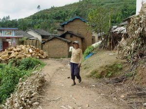 多依樹上村 多依樹上村