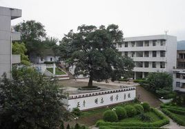 東水鎮橫江中學 東水鎮橫江中學