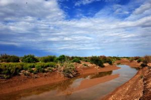 敦煌西湖自然保護區 敦煌西湖自然保護區