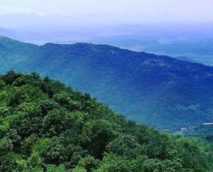 長沙嶽麓山森林公園