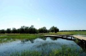 太和沙穎河國家濕地公園