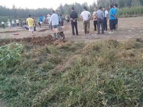 辛莊古墓群 辛莊古墓群