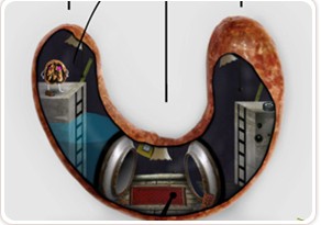 香腸內的世界 香腸內的世界