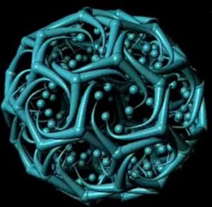 格線蛋白 格線蛋白