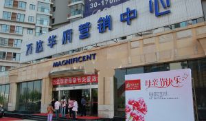 萬達華府 萬達華府