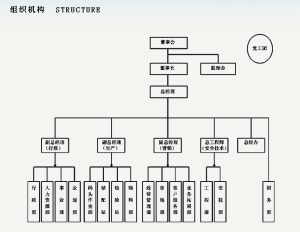 浙江長江能源發展有限公司組織機構