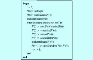 文化基因算法 文化基因算法