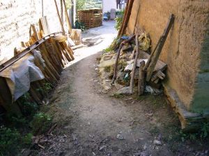 下溫東自然村 下溫東自然村