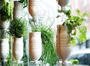 窗台概念農場 窗台概念農場