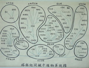 塔赫他間系統 塔赫他間系統