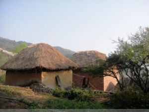 哈尼族蘑菇房 哈尼族蘑菇房