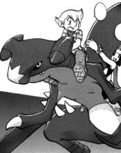 竹蘭的烈咬陸鯊