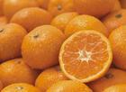 甜橘子酸橘子