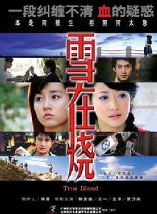 雪在燒[2007年呂一、陳紫函主演電視劇]