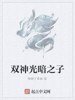 雙神光暗之子 雙神光暗之子