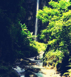 雲南景區裸游事件 雲南景區裸游事件