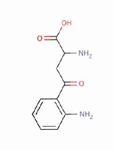 犬尿氨酸 犬尿氨酸