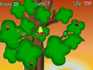 保衛小鳥 保衛小鳥