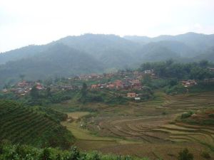 林排坡村 林排坡村