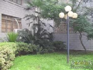 新天小區 新天小區