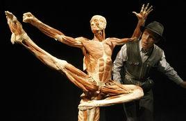 馮·哈根斯生物塑化(大連)有限公司 馮·哈根斯生物塑化(大連)有限公司