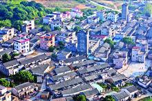 null[廣東省東莞市鳳崗鎮]