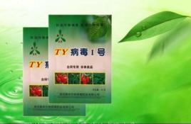 病毒1號 病毒1號