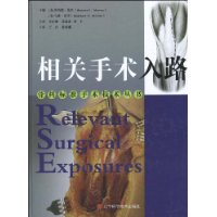 相關手術入路 相關手術入路