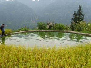 姜坪子自然村抗旱池