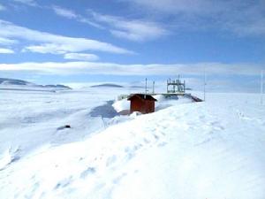 紐納武特 紐納武特