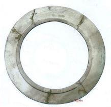 有領窄肉玉瑗 有領窄肉玉瑗