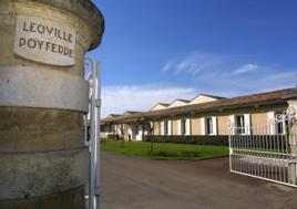 波菲莊園 波菲莊園