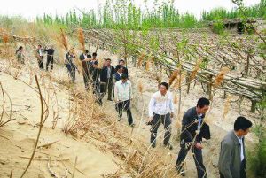 科克鐵熱克鄉 科克鐵熱克鄉